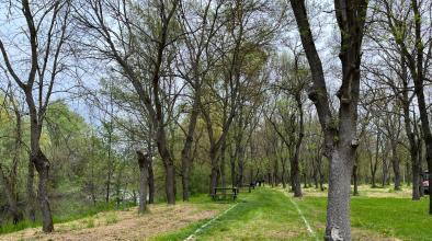 Елхово парк