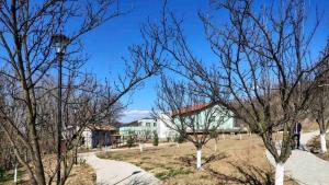 Кочериново дом