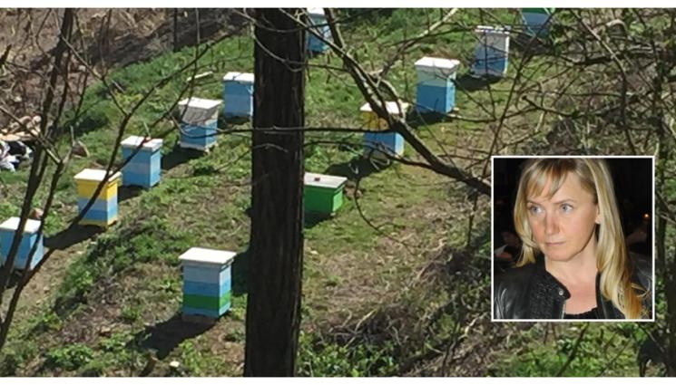 с - Губим 450 хил. пчелни семейства