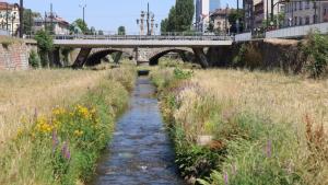 Владайска река