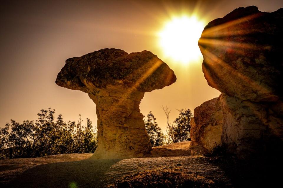 Каменните гъби