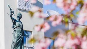 японски вишни Севлиево