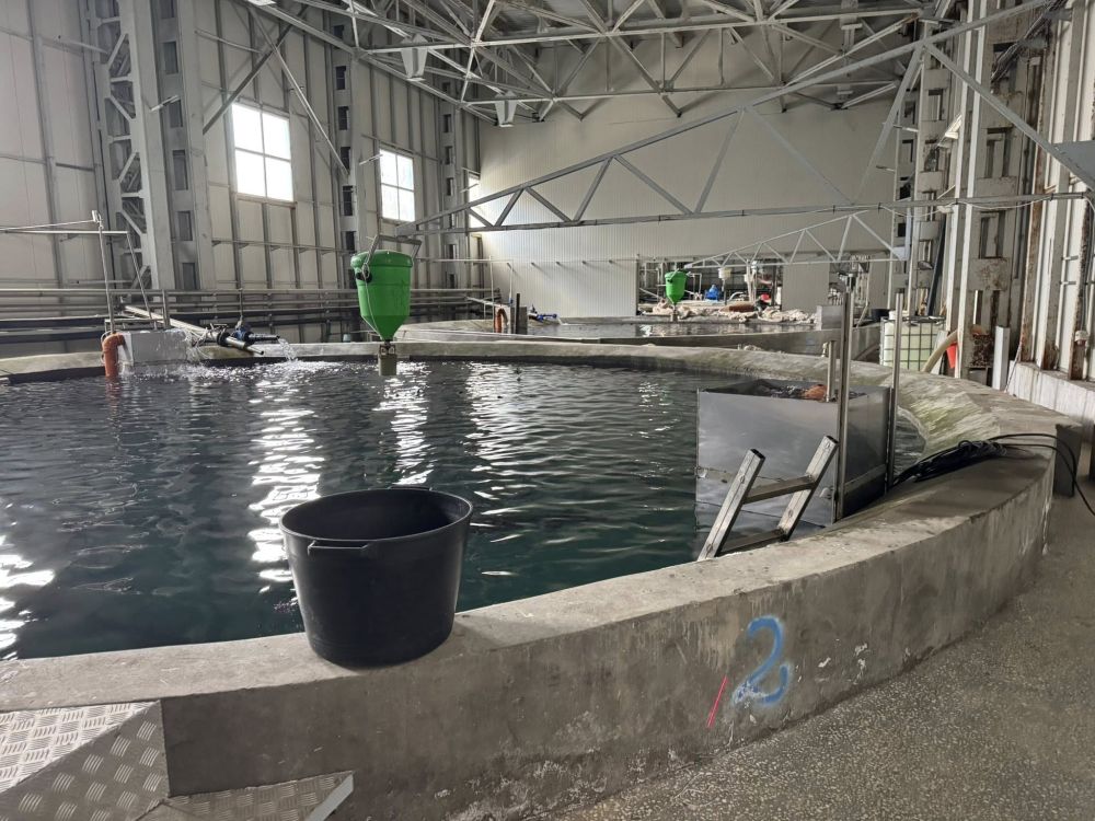 В галериите на бивша мина край Кюстендил се крие наркофабрика