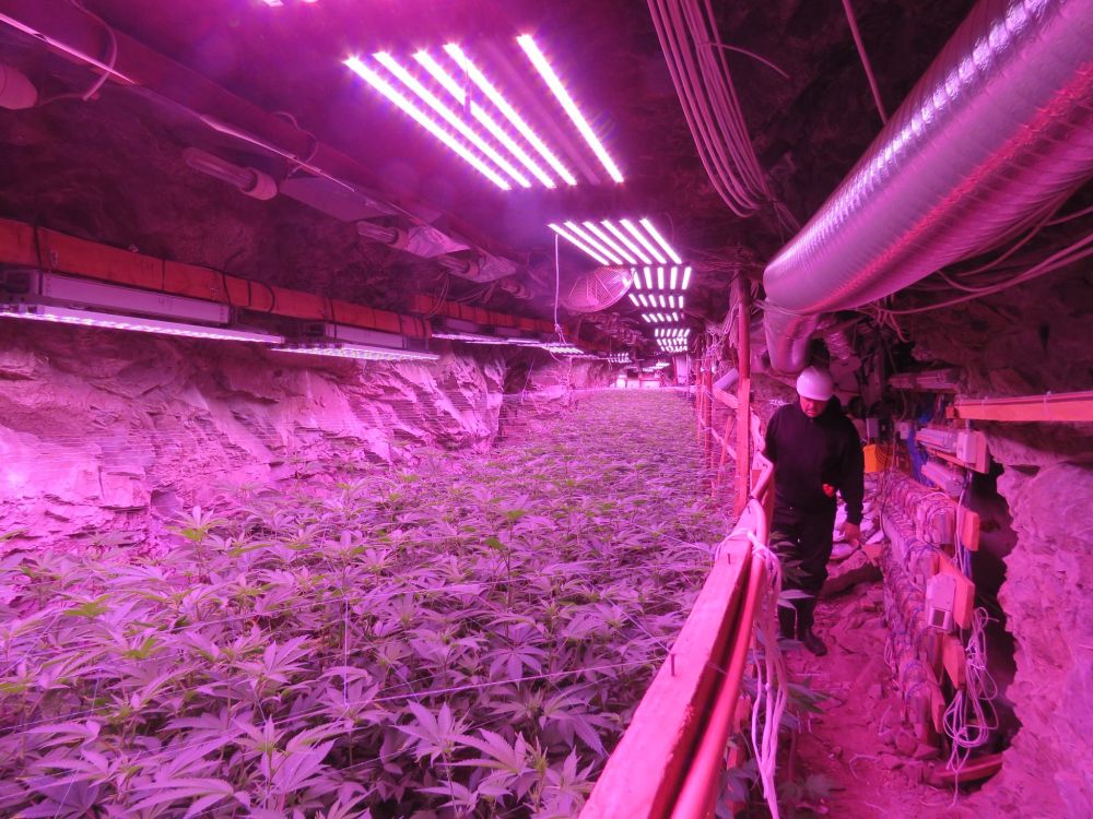 В галериите на бивша мина край Кюстендил се крие наркофабрика