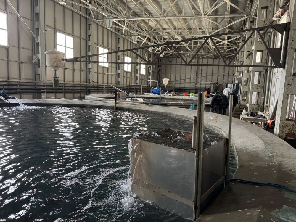 В галериите на бивша мина край Кюстендил се крие наркофабрика