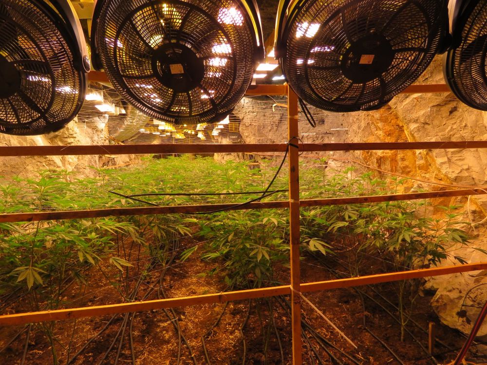 В галериите на бивша мина край Кюстендил се крие наркофабрика