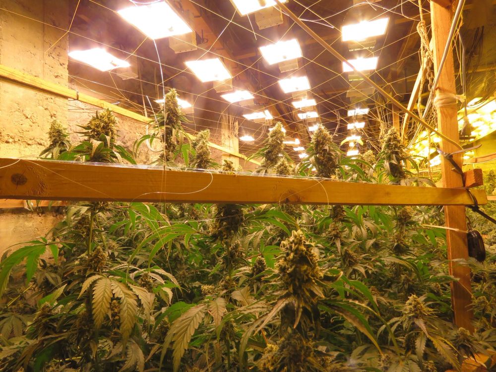 В галериите на бивша мина край Кюстендил се крие наркофабрика