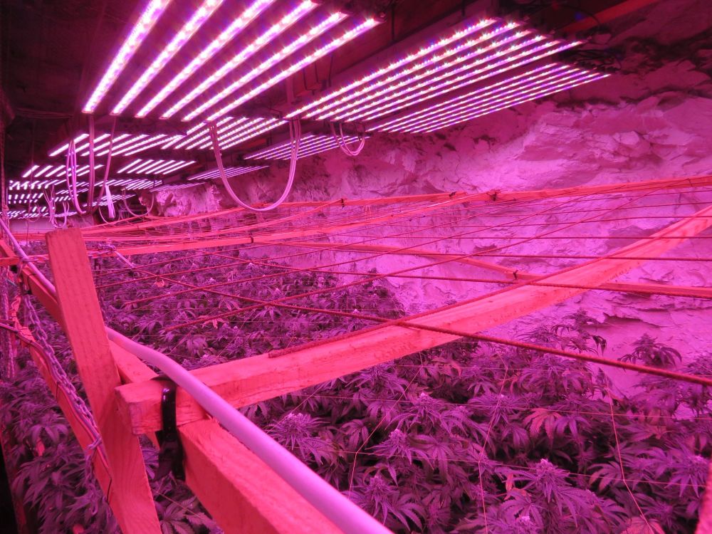 В галериите на бивша мина край Кюстендил се крие наркофабрика