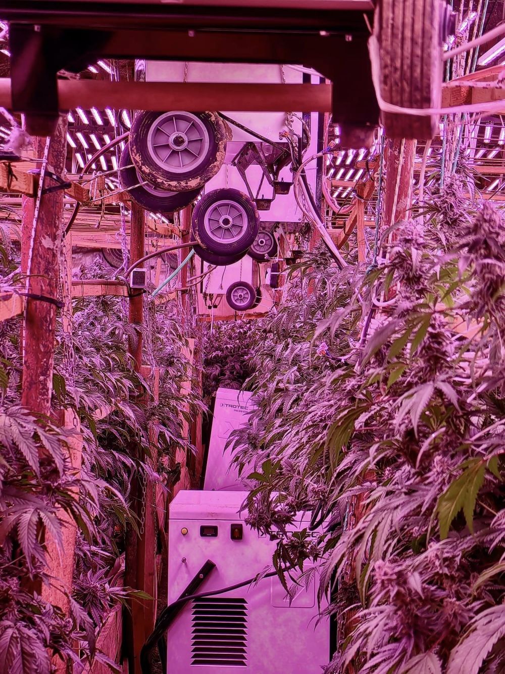 В галериите на бивша мина край Кюстендил се крие наркофабрика