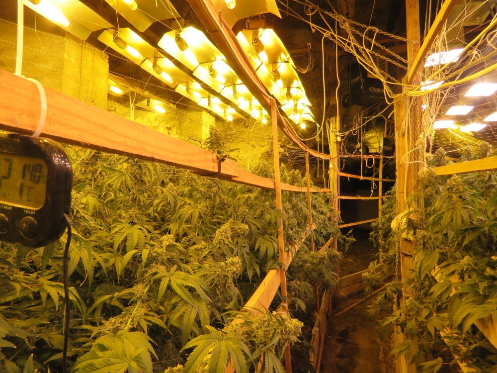 В галериите на бивша мина край Кюстендил се крие наркофабрика