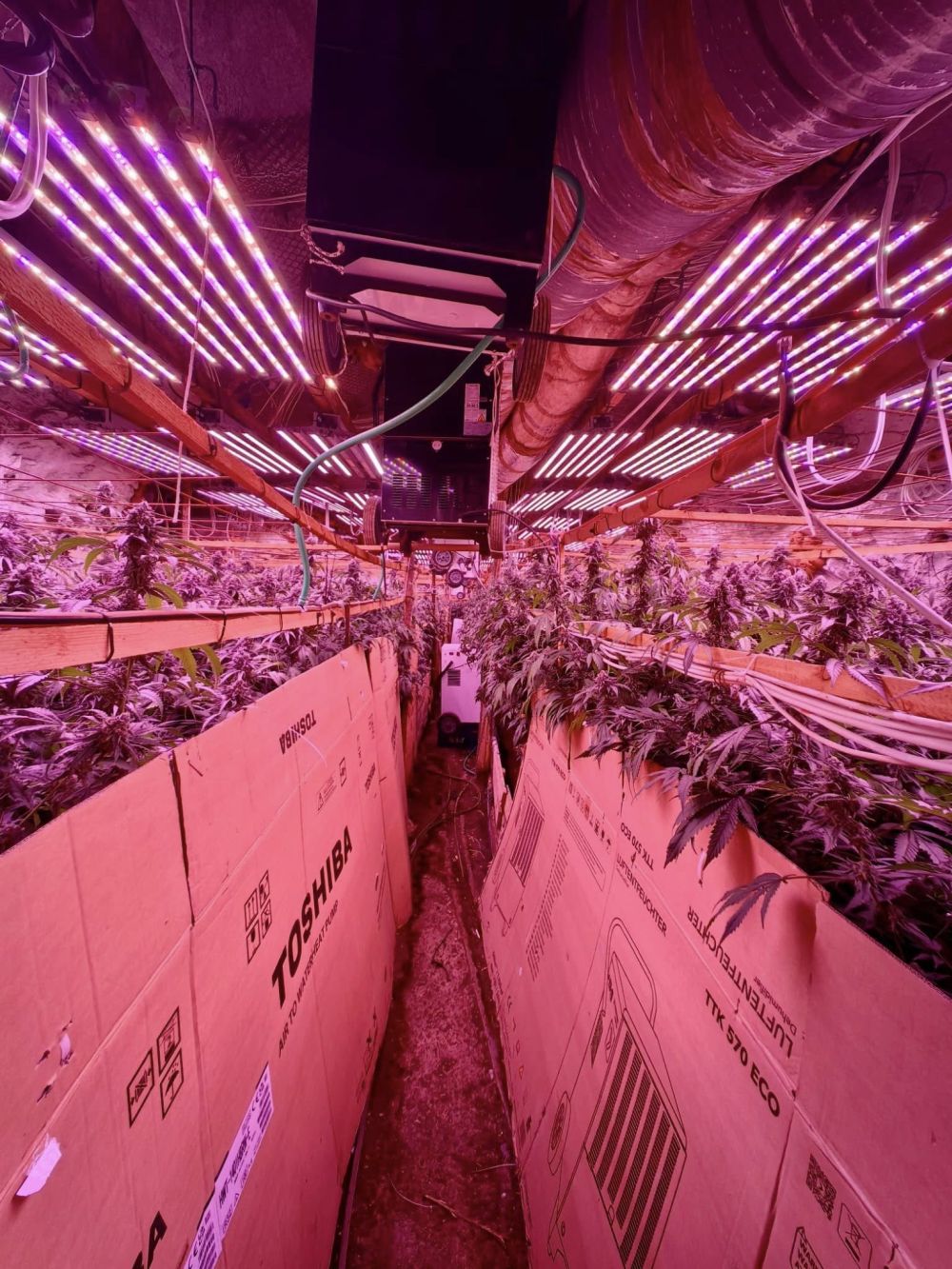 В галериите на бивша мина край Кюстендил се крие наркофабрика