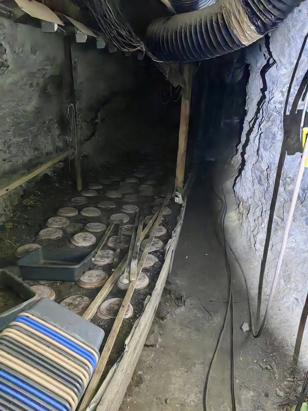 В галериите на бивша мина край Кюстендил се крие наркофабрика