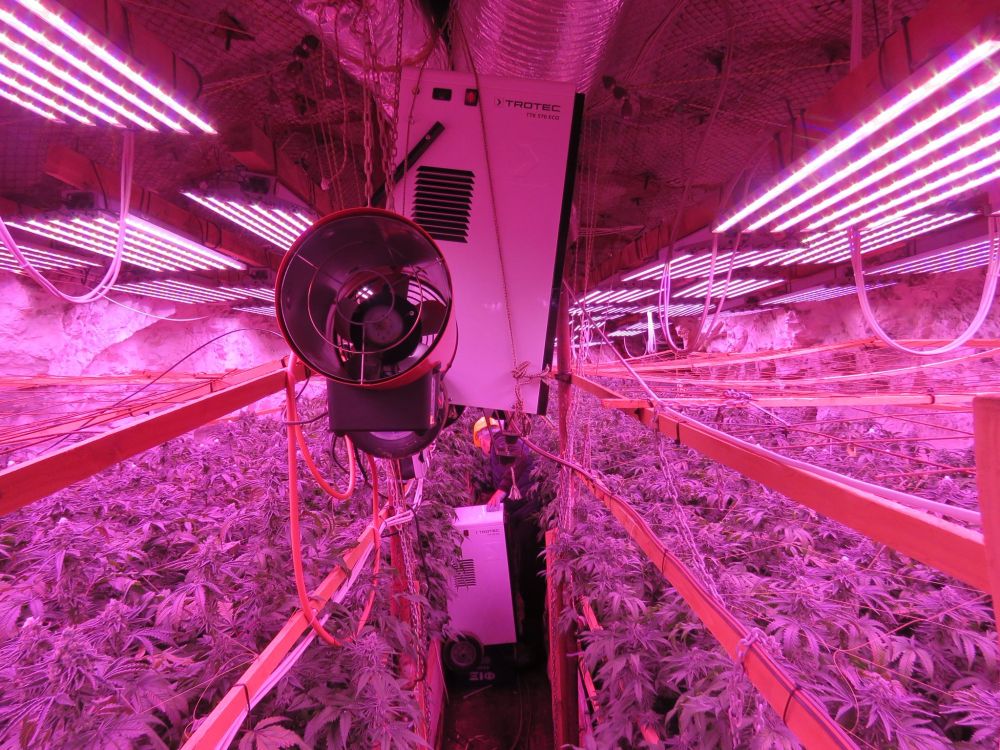 В галериите на бивша мина край Кюстендил се крие наркофабрика