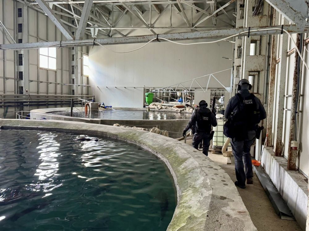 В галериите на бивша мина край Кюстендил се крие наркофабрика