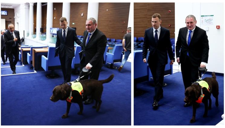 с - ЗА ПЪРВИ ПЪТ В ИСТОРИЯТА НА НС: Депутат 241 - кучето водач Роувър