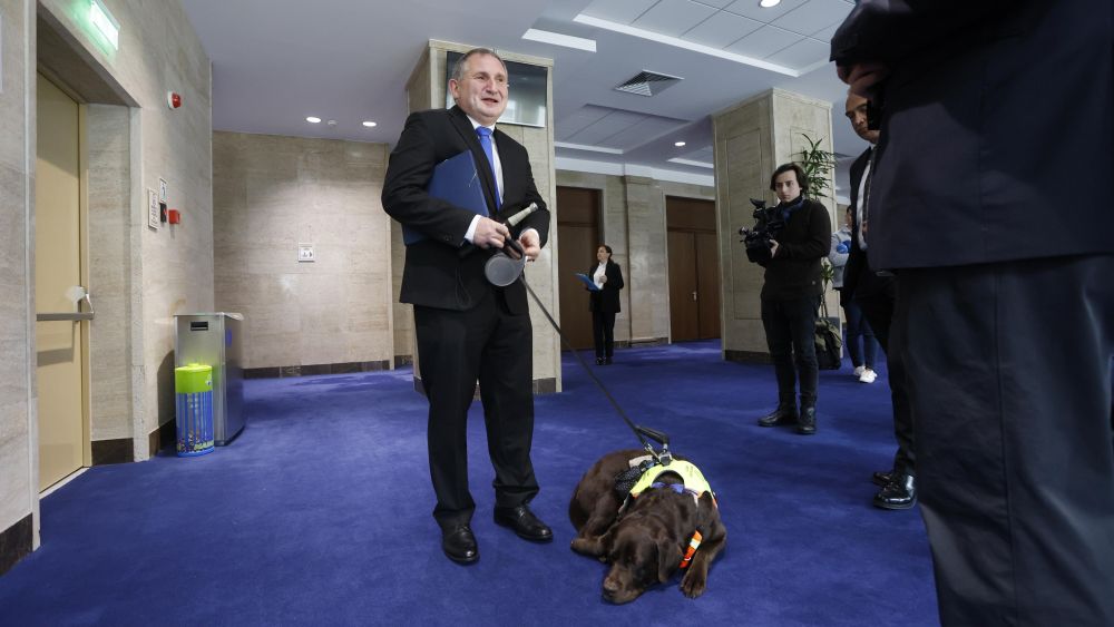 Куче водач Иван Янев