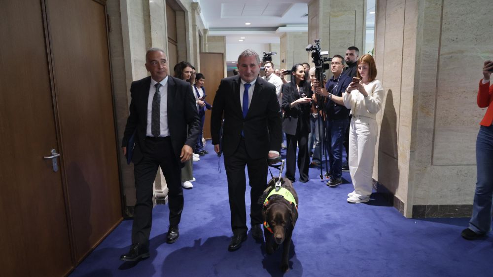 Куче водач Иван Янев