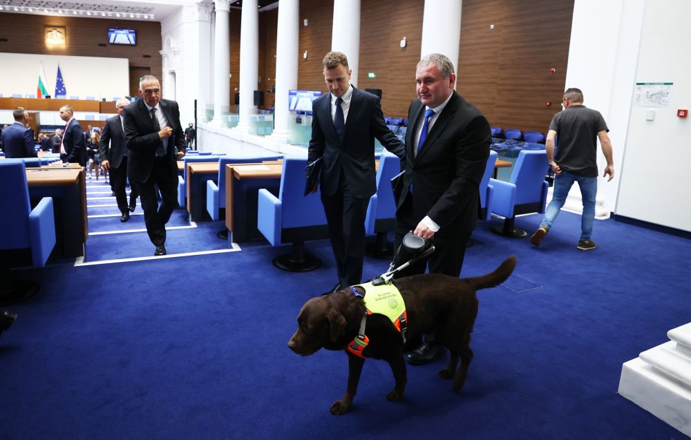 Куче водач Иван Янев