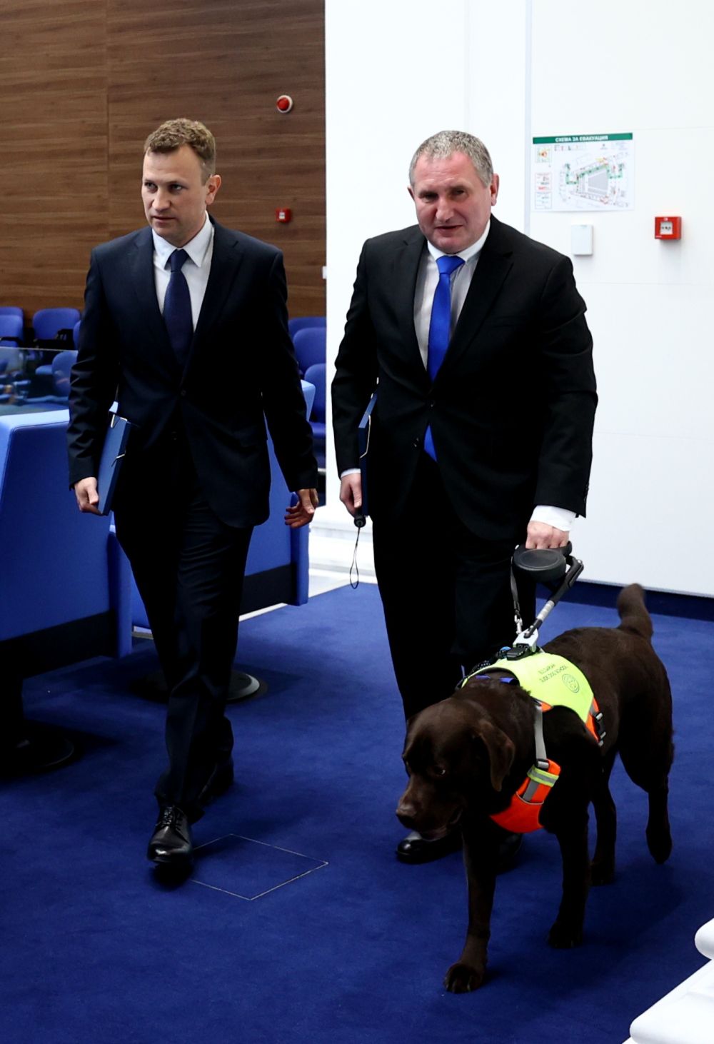 Куче водач Иван Янев