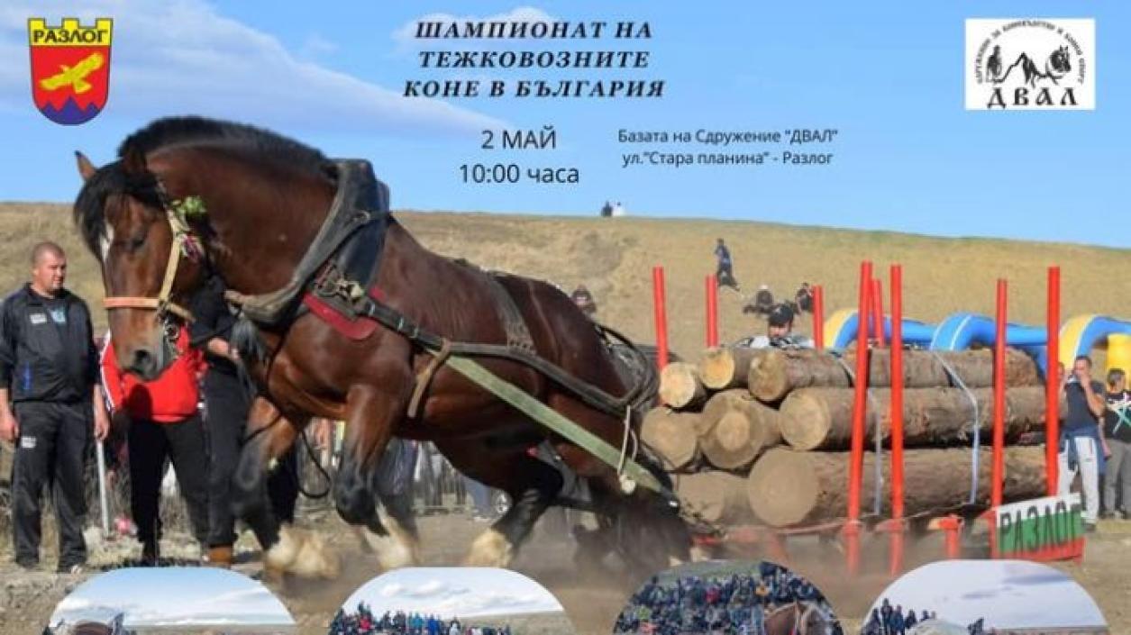 Разлог събира най-силните коне в страната на атрактивно състезание