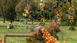 Флора Бургас цветя
