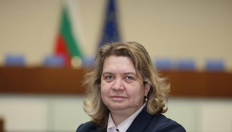 наталия киселова - Доц. Наталия Киселова пред 