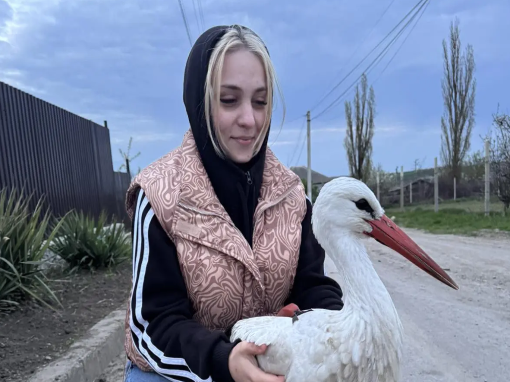 Антон