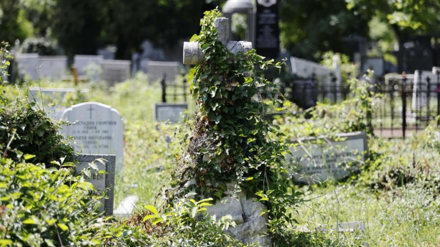 <p>Уволниха дисциплинарно шефа на "Гробищни паркове" в София</p>