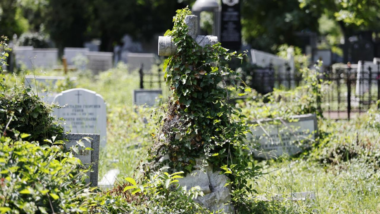 Шефът на "Гробищни паркове" в София е уволнен за нарушения