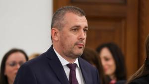 Милена Стойкова