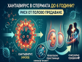 хантавирус