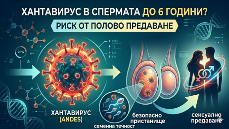 хантавирус