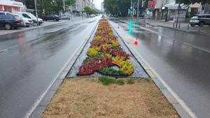 стара загора