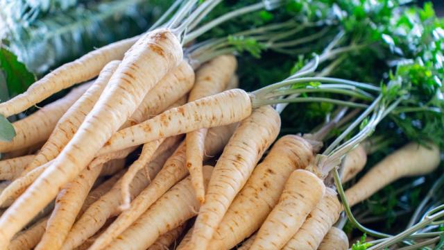 Сладък вкус и много ползи: Какво трябва да знаем за пащърнака