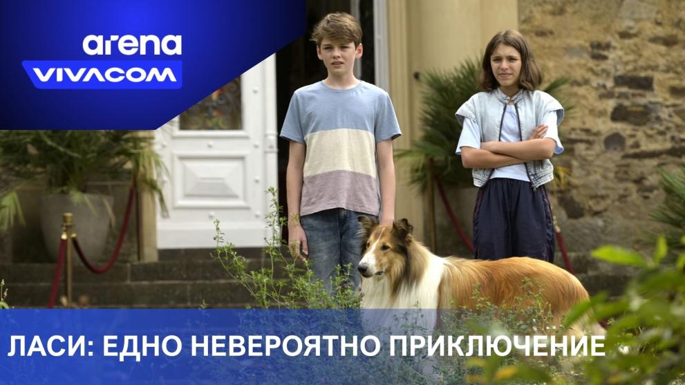  виваком 