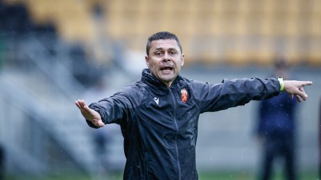 Александър Димитров