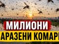 комари