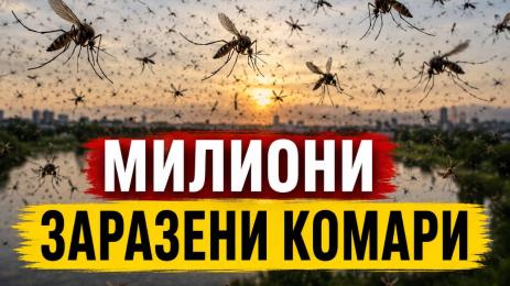 комари