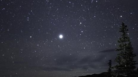 нло