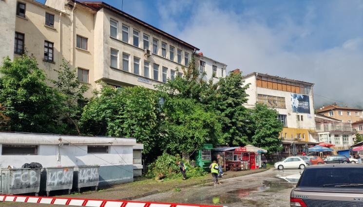 д - Мълния повали дърво на автогара в Смолян, чистачка оцеля по чудо
