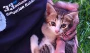 Спасиха паднала в шахта котка