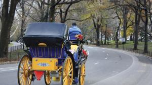 конска карета в Central Park