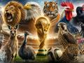 Мондиал 2026 животни