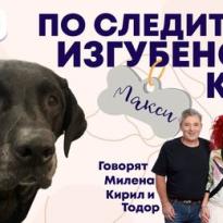 po sledite na izgubenoto kuche