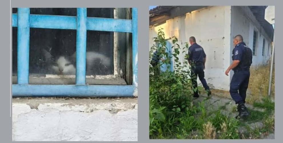 полиция Силистра коте
