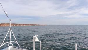 море