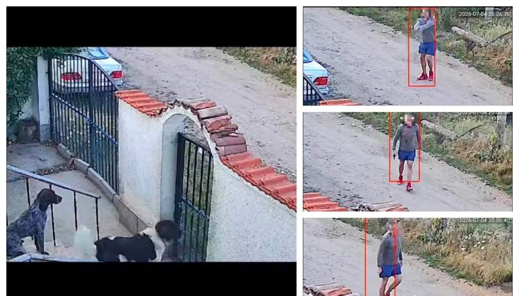 ss - ПОСЕГАТЕЛСТВО: Мъж стреля по кучета в частен имот