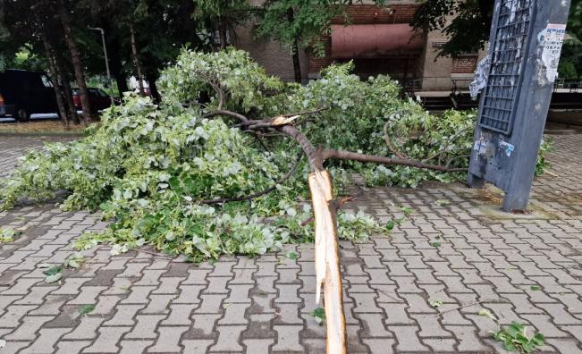 Пороен дъжд и буря удариха Стара Загора