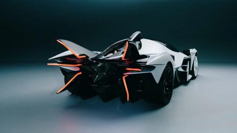 Apollo Evo Caribbean Dragon