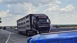 камион акция проверки полиция